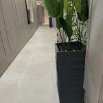 reeveshire-apartments